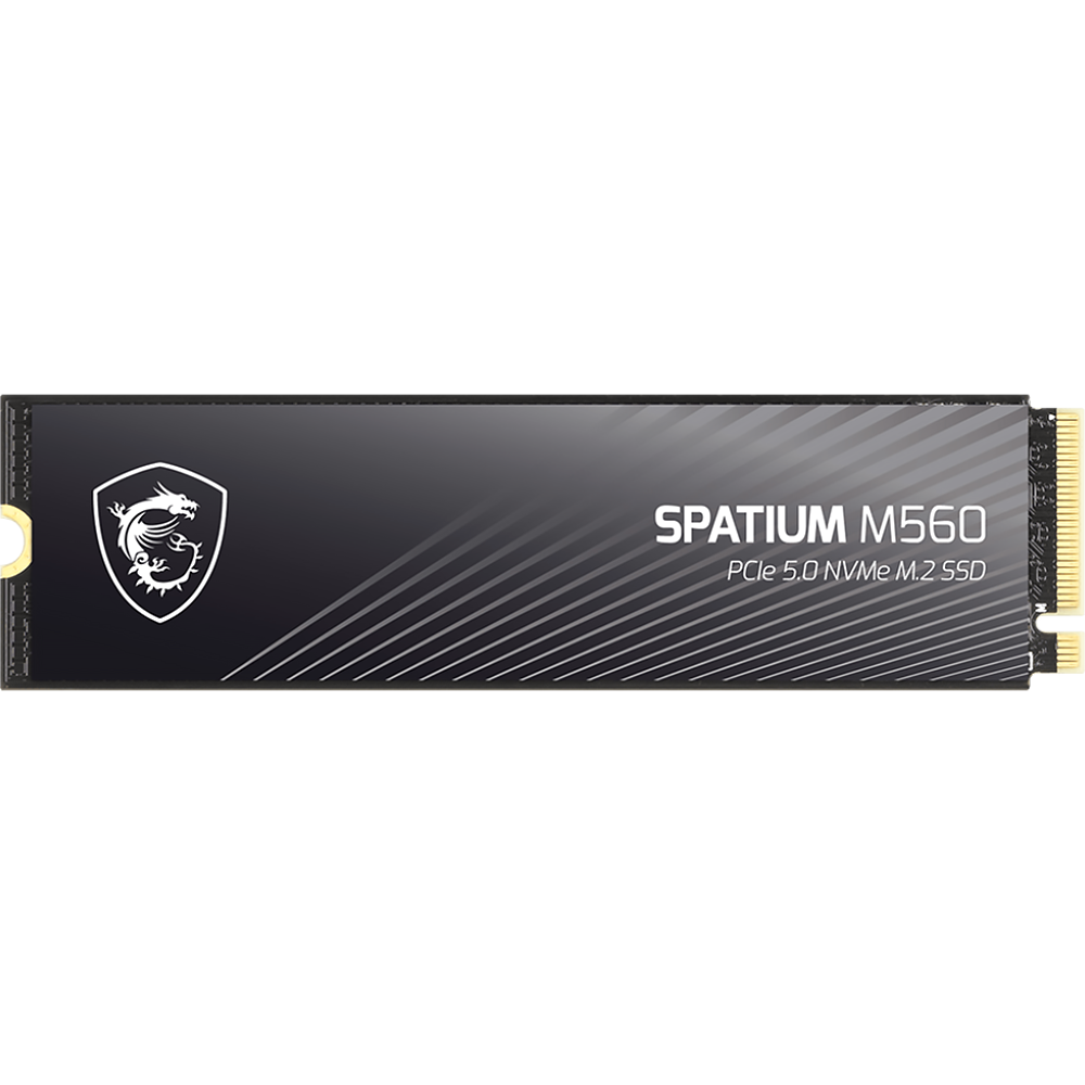 MSI SPATIUM M560 (S78-440Q940-P83)