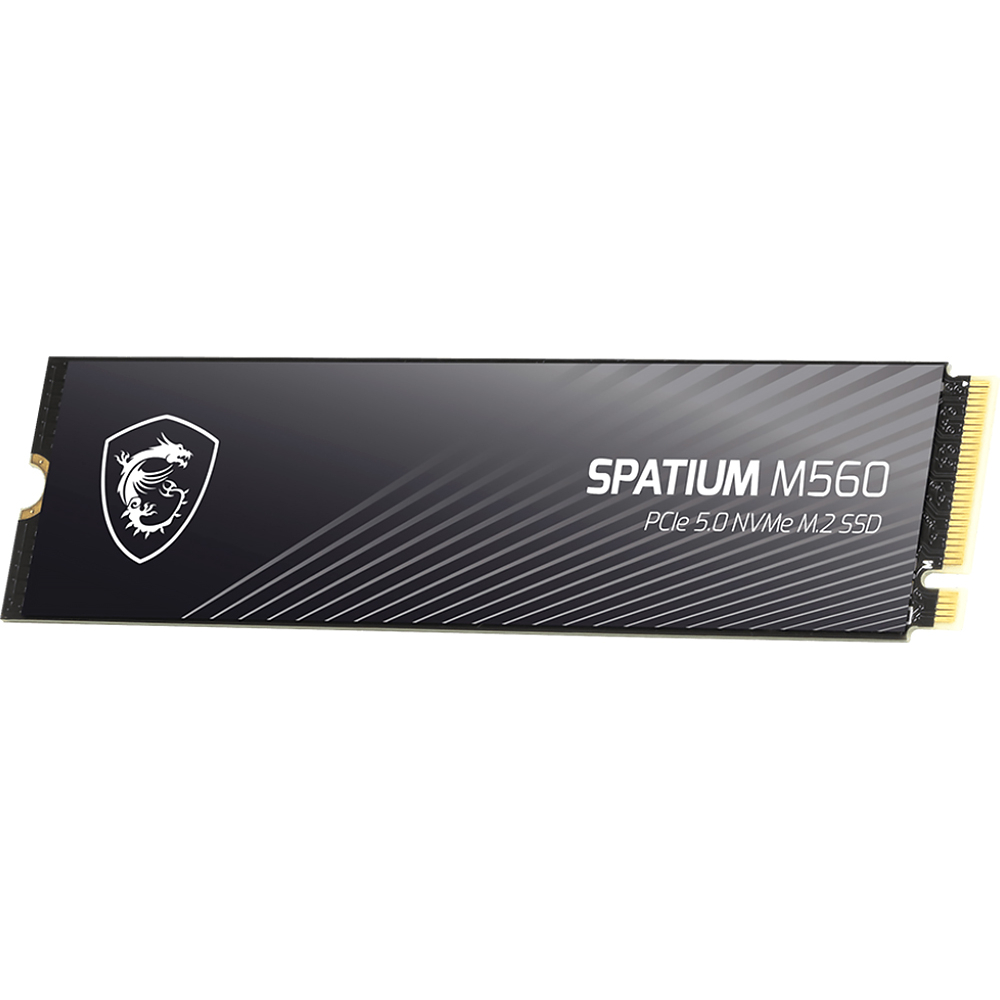 MSI SPATIUM M560 (S78-440Q940-P83)