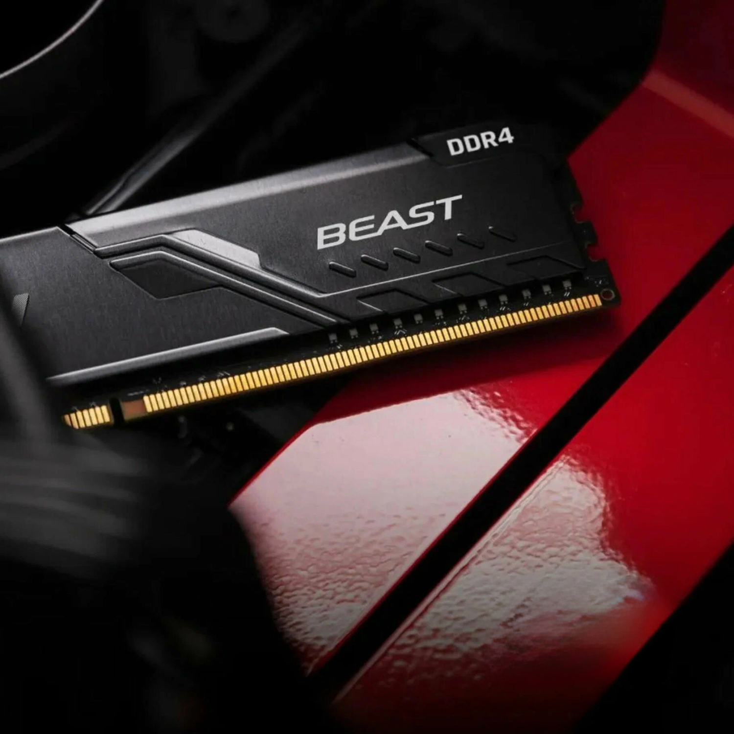 Kingston FURY Beast Black (KF432C16BB1/16WP)