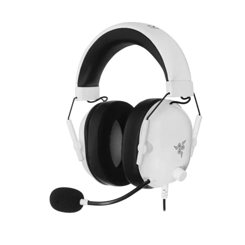 Razer RZ04-03241700-R3M1