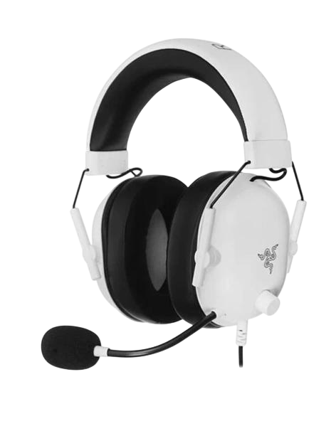 Razer RZ04-03241700-R3M1
