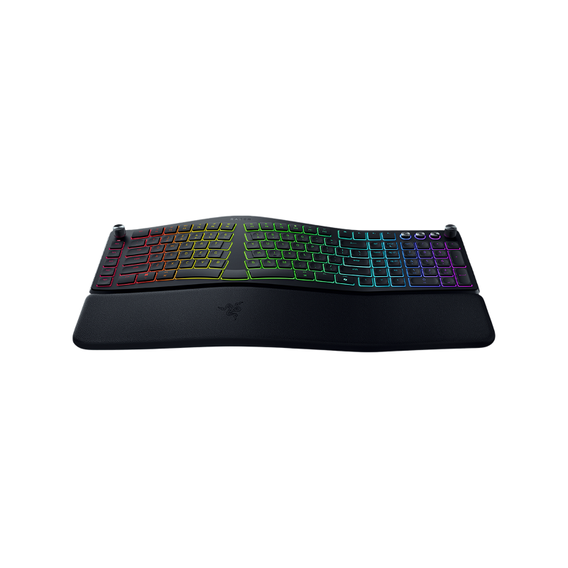 Razer Keyboard Pro Type Ergo