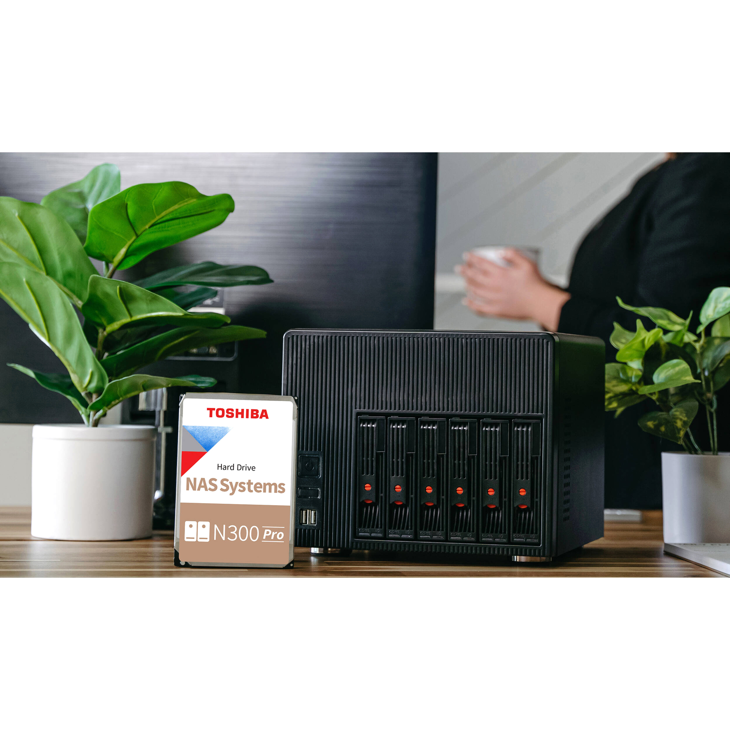 Toshiba N300 PRO NAS 22Tb (HDWG82CXZSTB)