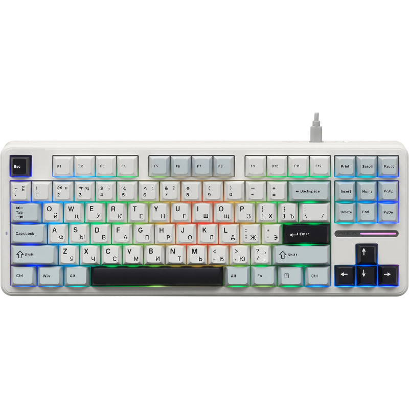 AULA F87 (6978080503800)