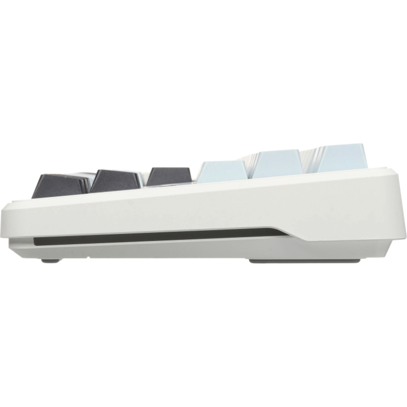 AULA F87 (6978080503800)