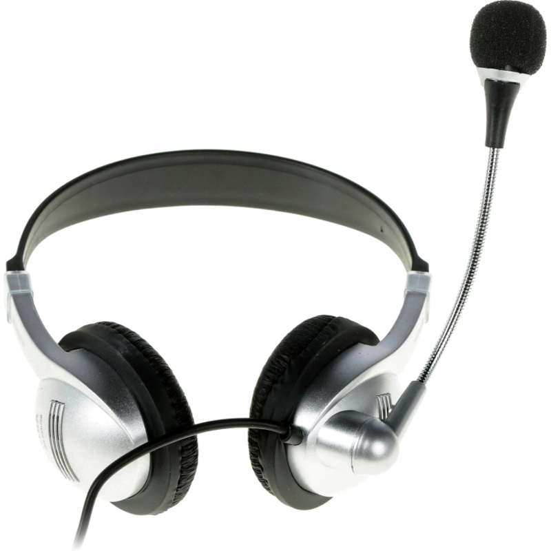 RITMIX RH-533USB Серебристый
