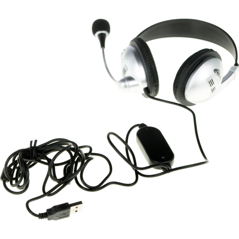 RITMIX RH-533USB Серебристый