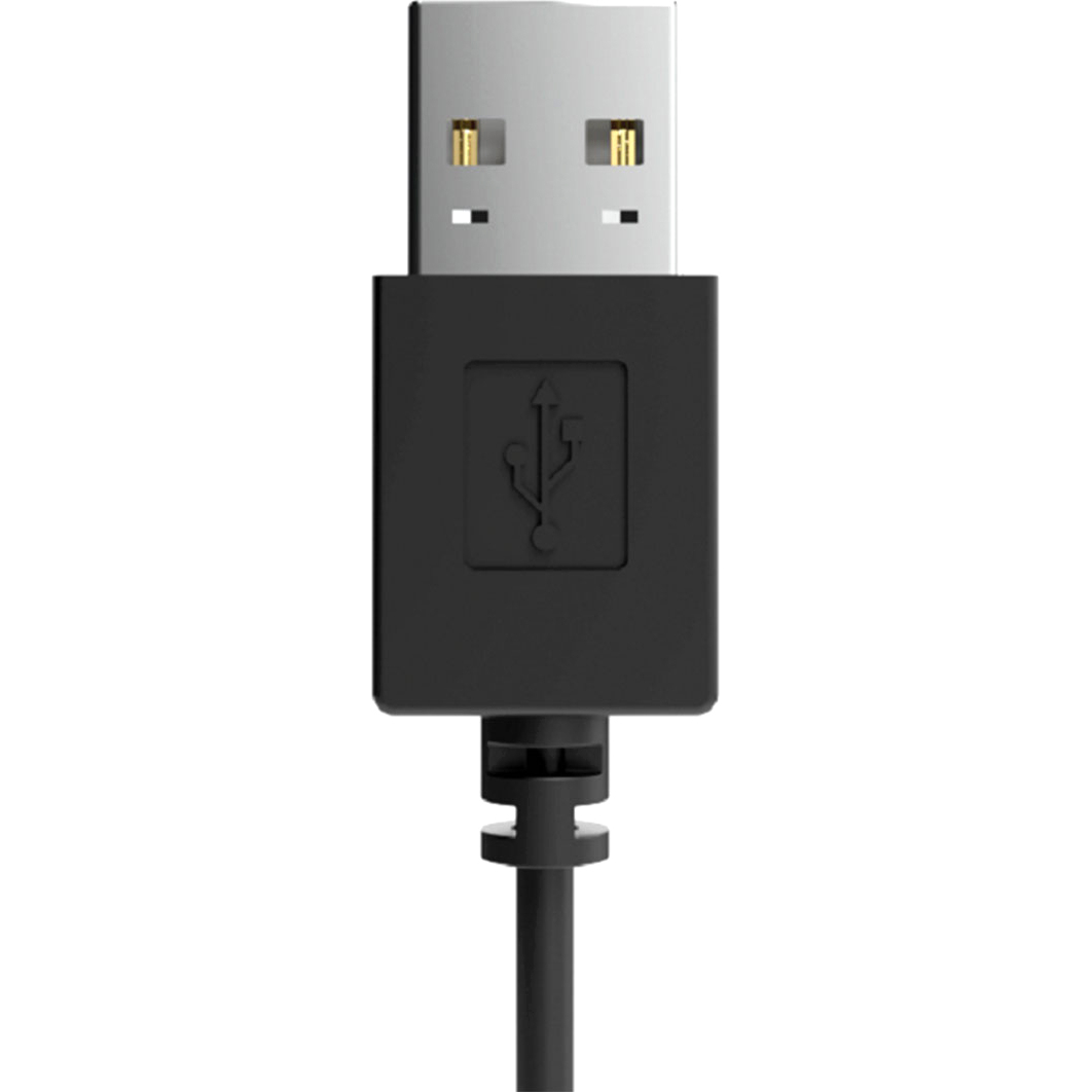 RITMIX RH-563USB Чёрный