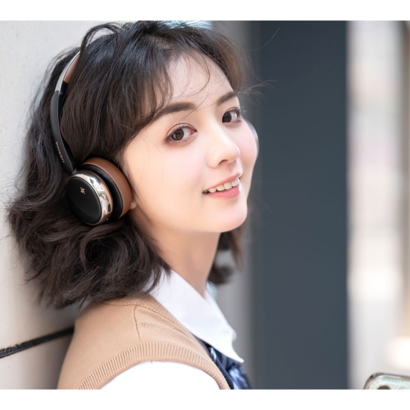 FIIO SNOWSKY Anytime (F4439E) Чёрный арт. 6953175741497