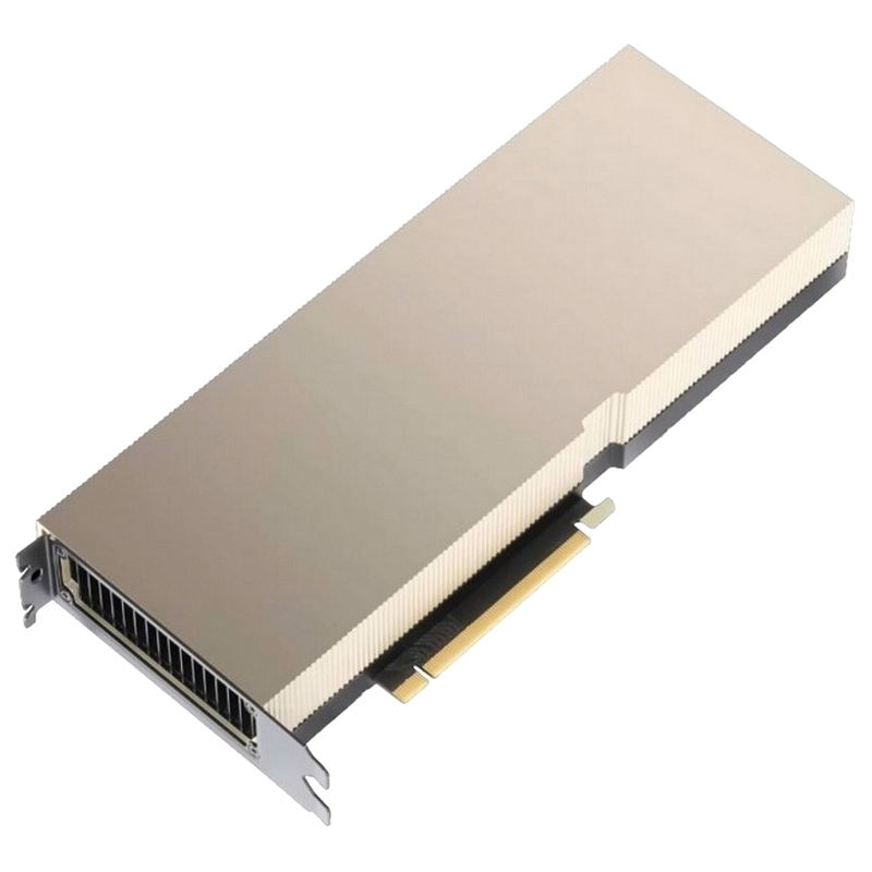 NVIDIA A100 80GB (900-21001-0020-100)