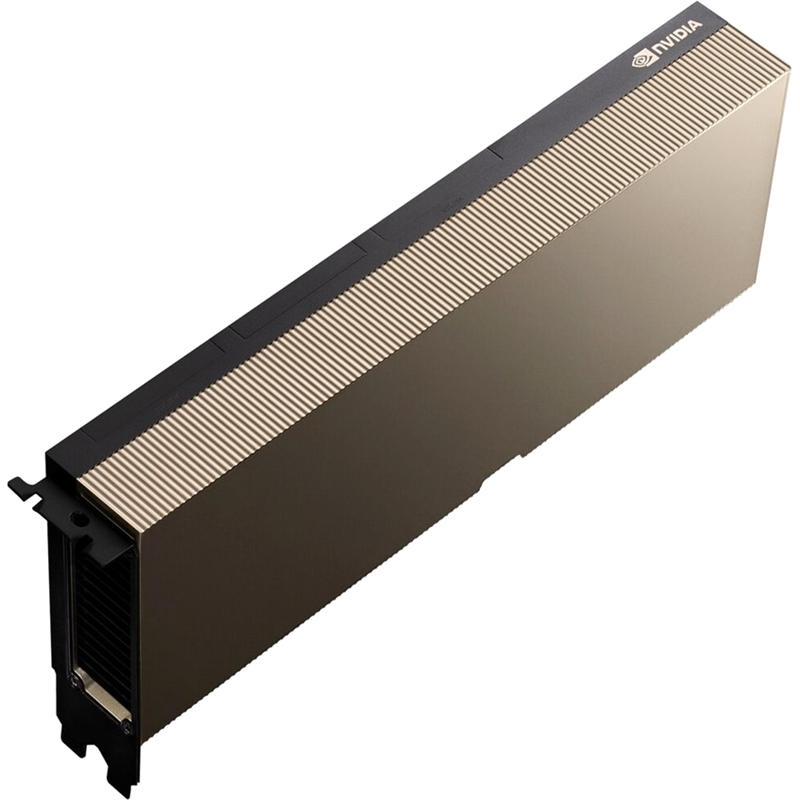 NVIDIA A100 80GB (900-21001-0020-100)