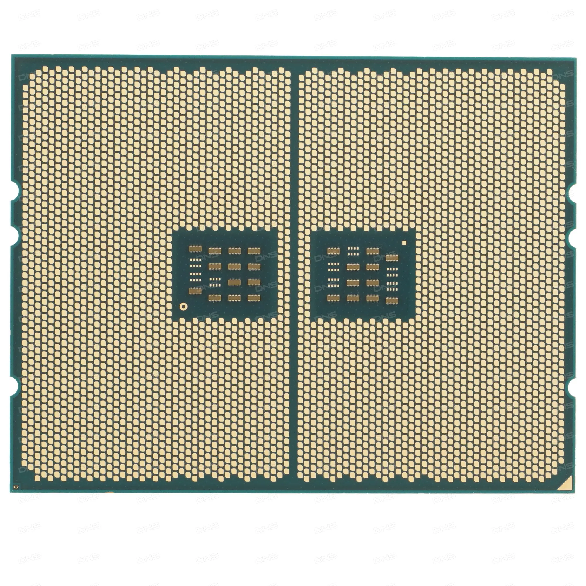 AMD 100-000000446