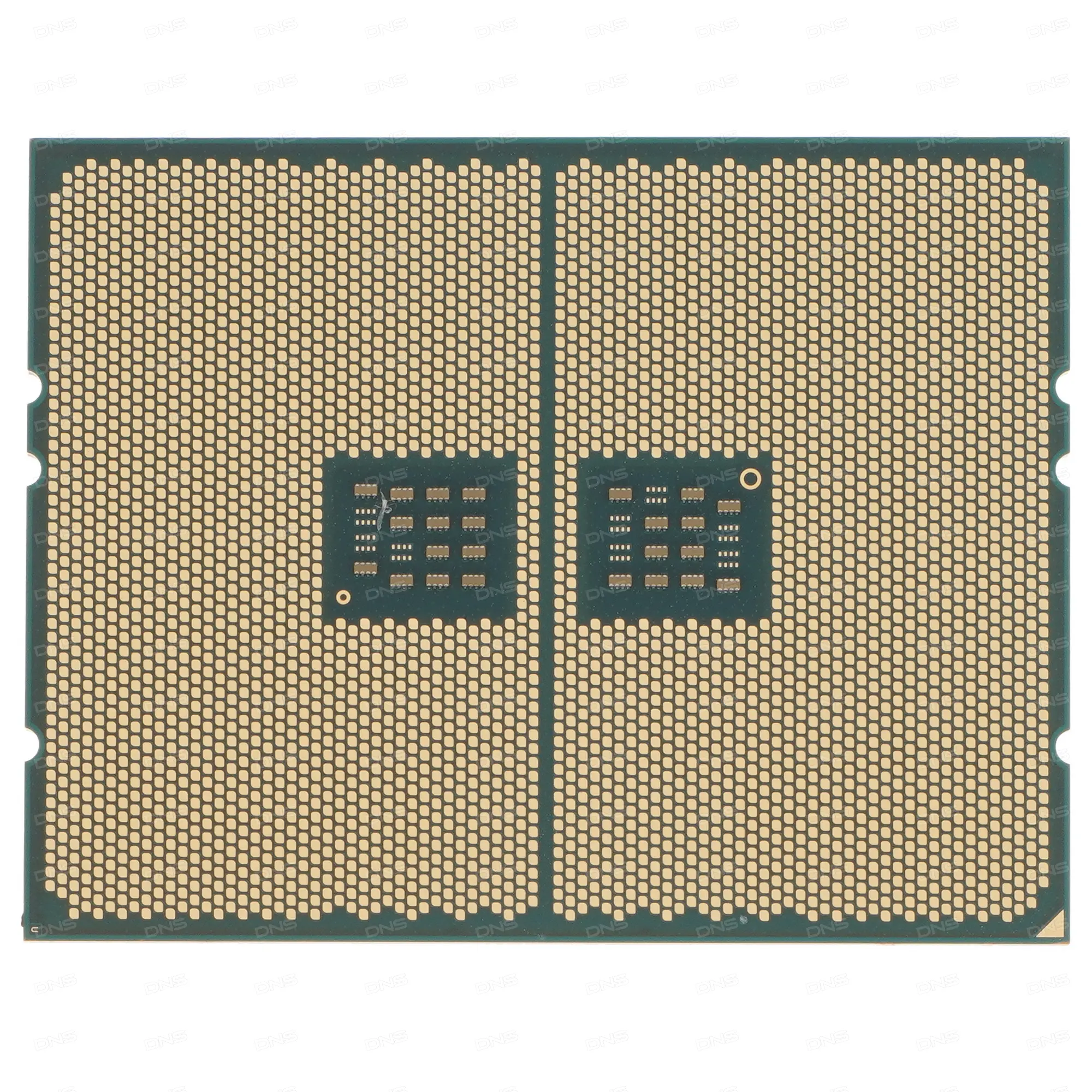 AMD 100-000000444