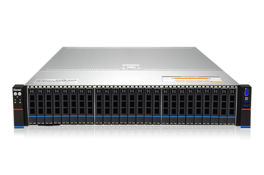 Gooxi SL201-D25RE-G3 арт. 0.95.002.0174