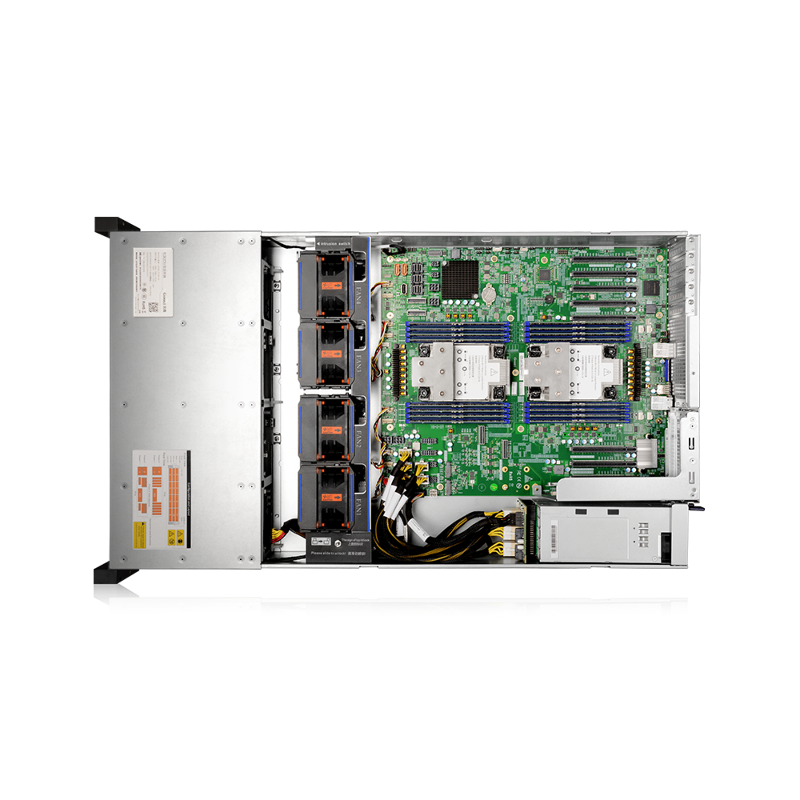 Gooxi AS201-D12R-NV-G4