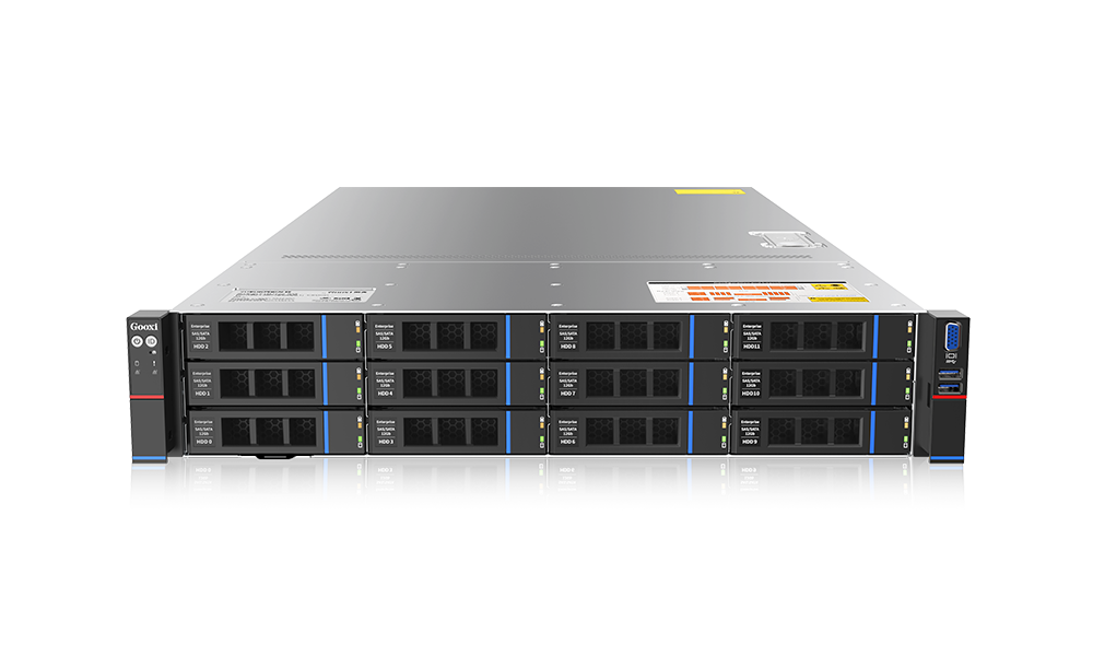 Gooxi AS201-D12R-NV-G4