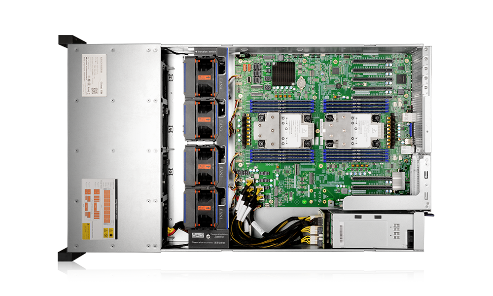 Gooxi AS201-D12R-NV-G4