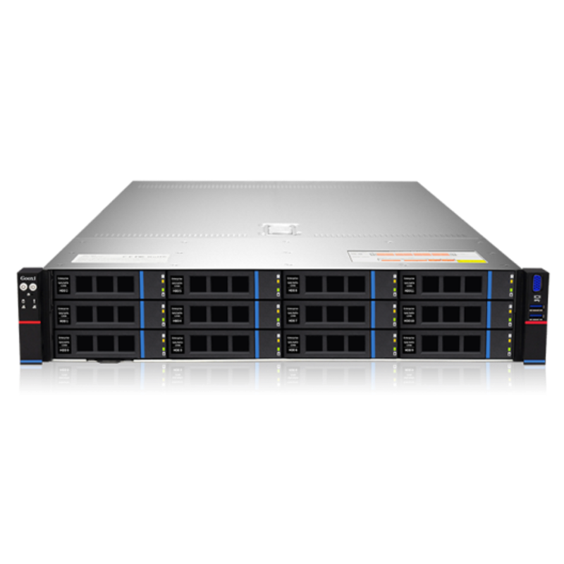 Gooxi SL201-D12RE-G3