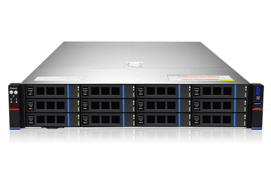 Gooxi SL201-D12RE-G3 арт. 0.95.002.1050