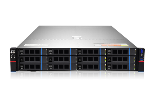 Gooxi SR201-D12RE арт. 0.96.002.1026