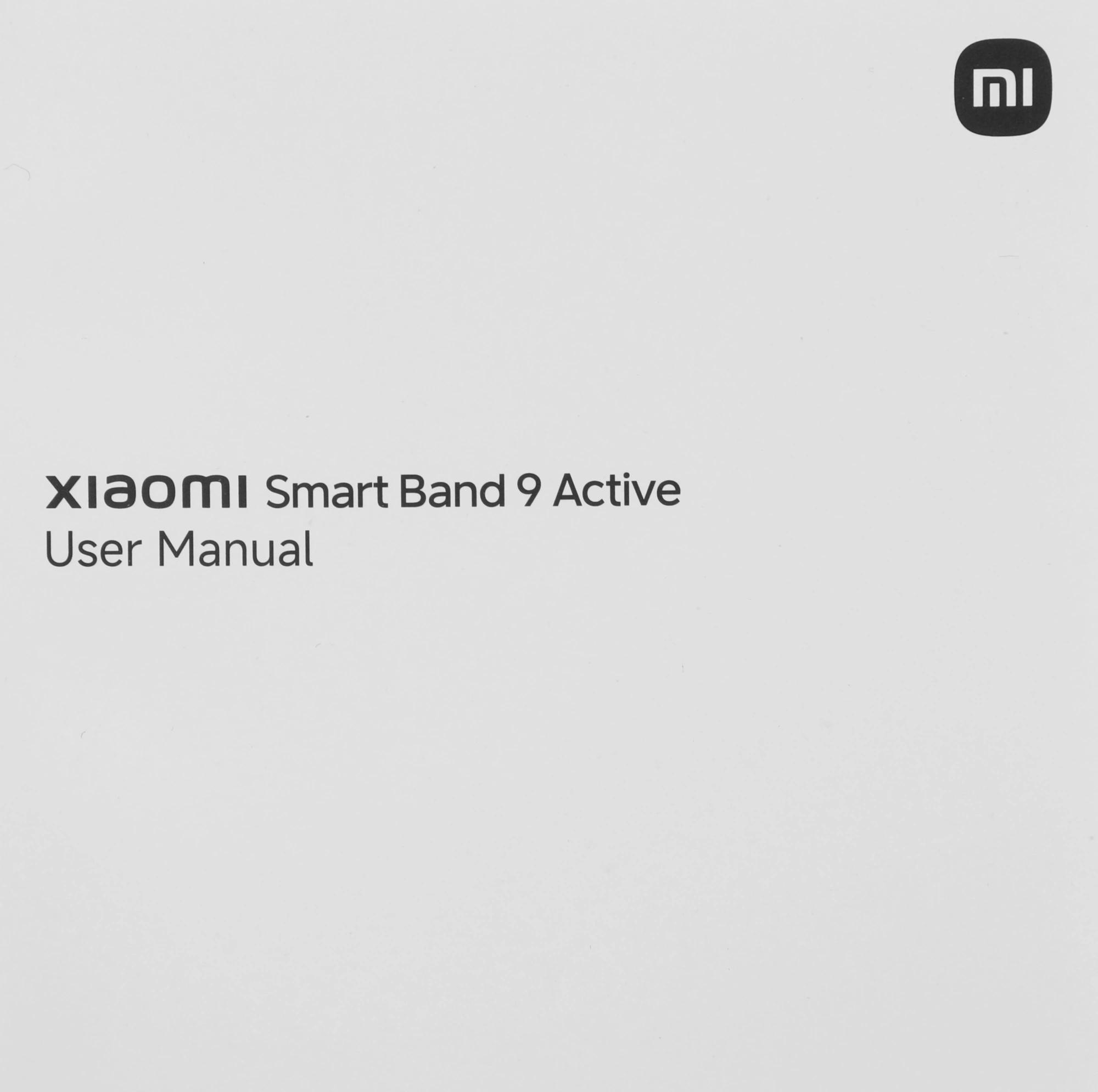 Xiaomi BHR9917GL