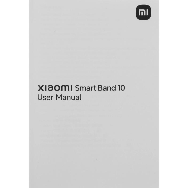 Xiaomi BHR9999GL