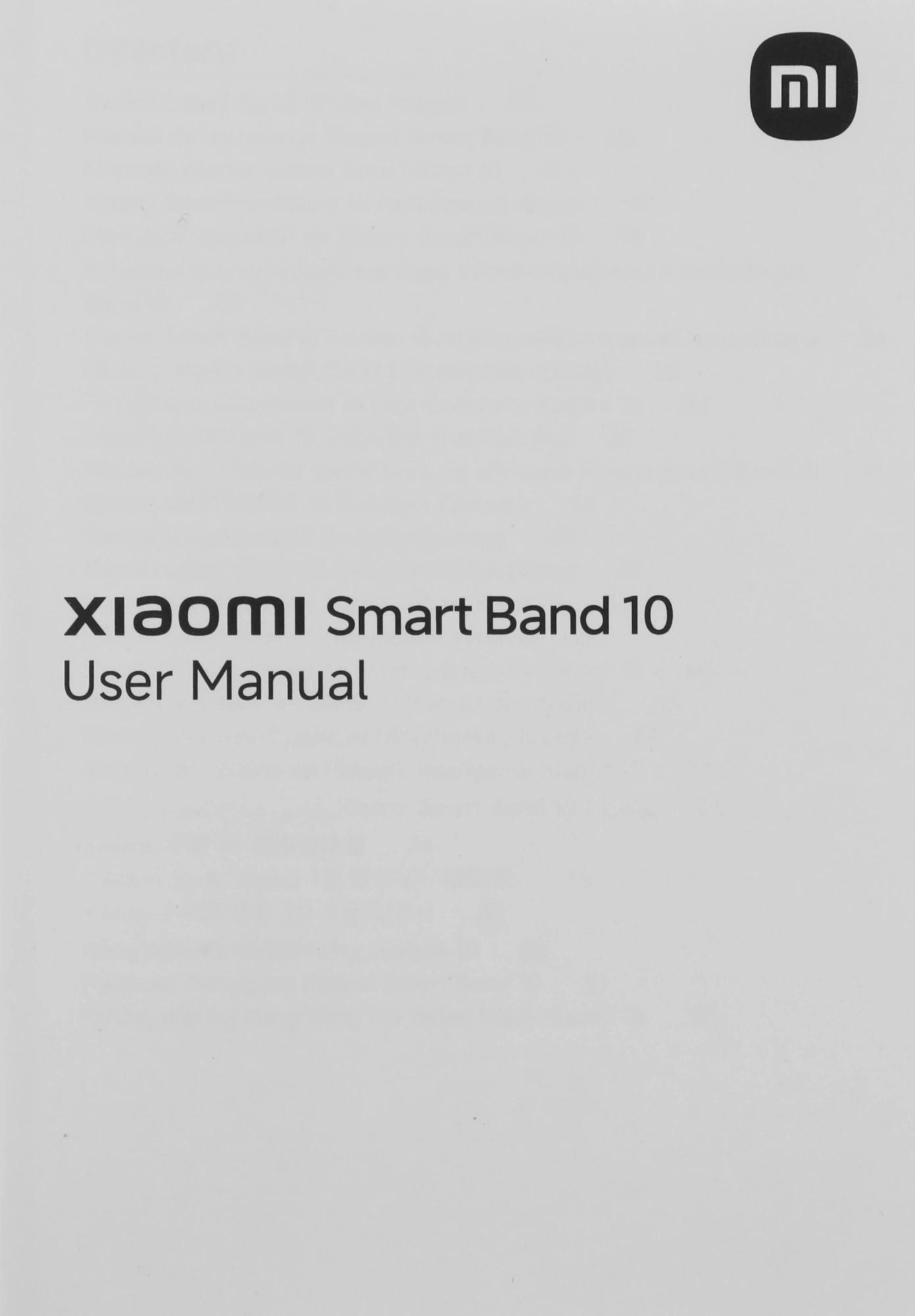 Xiaomi BHR9999GL