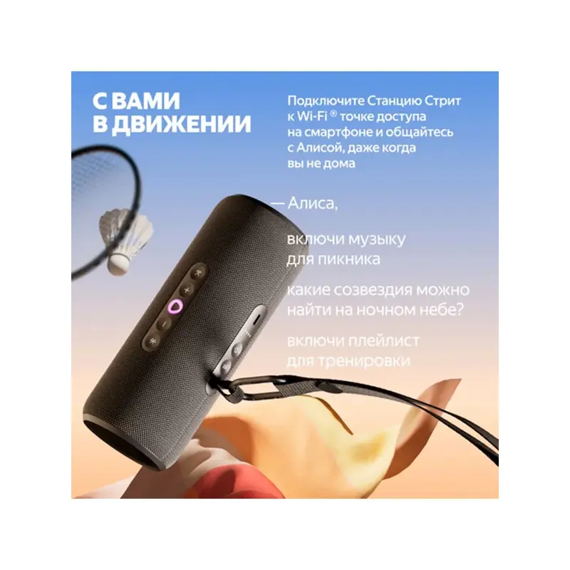 ООО «Яндекс», (Россия) YNDX-00030BLK