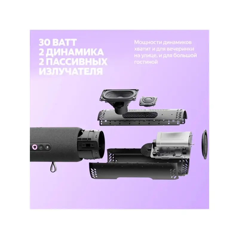 ООО «Яндекс», (Россия) YNDX-00030BLK