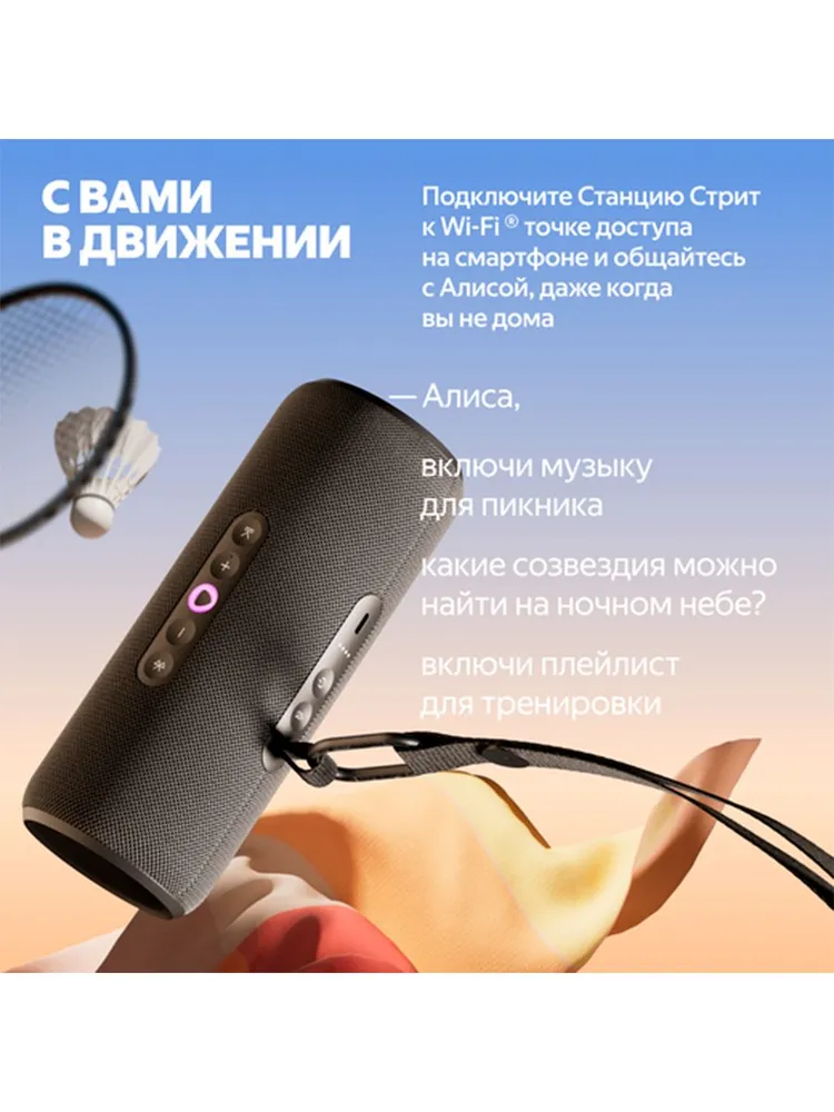 ООО «Яндекс», (Россия) YNDX-00030BLK