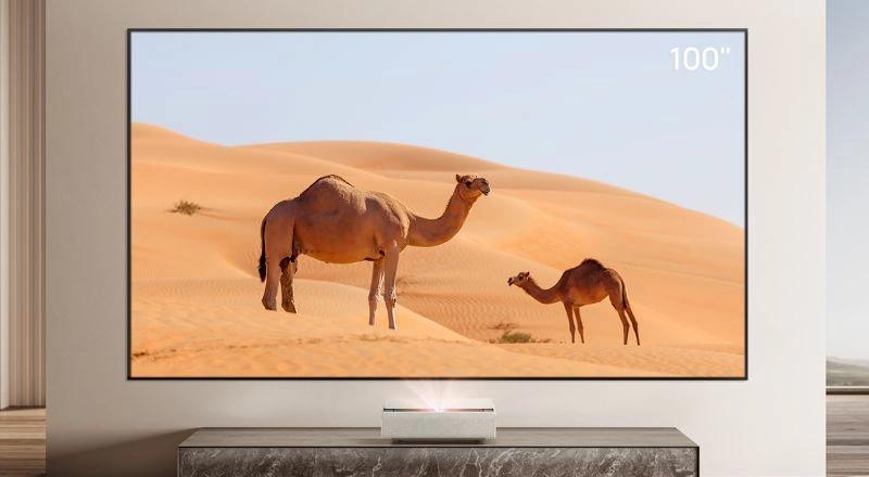 XGIMI P165S