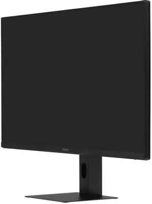 Xiaomi ELA6658RU