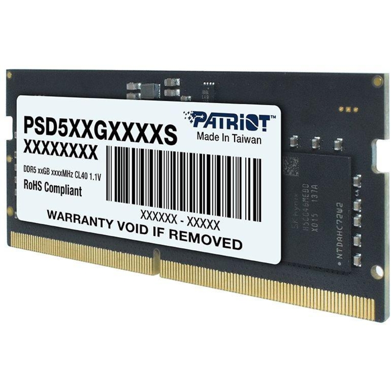 Patriot PSD516G480081S
