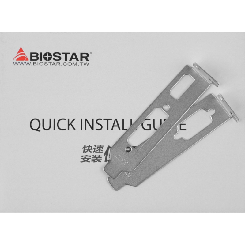 Biostar Microtech Netherlands B.V. VN7313TH41