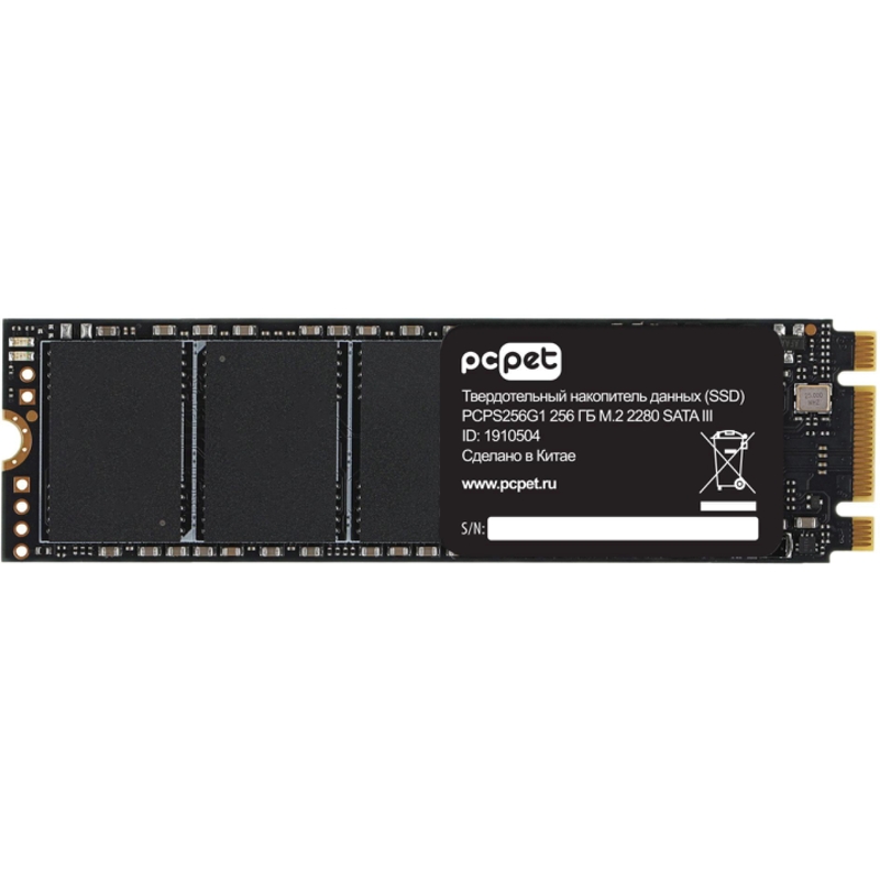 PC PET PCPS256G1