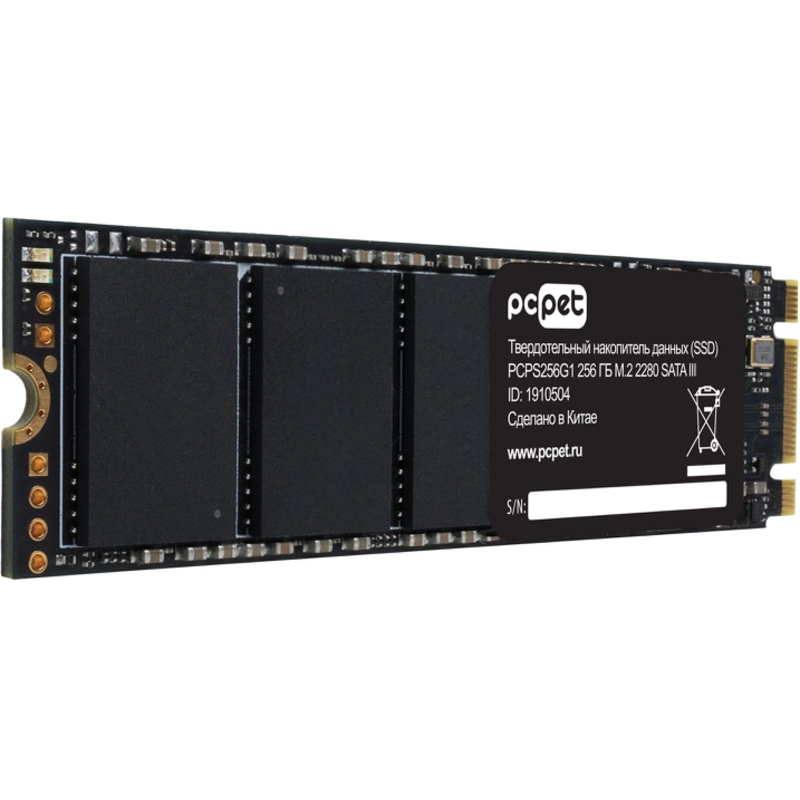 PC PET PCPS256G1