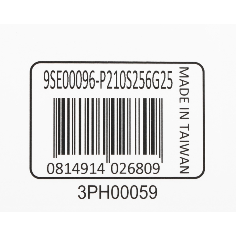 Patriot P210S256G25