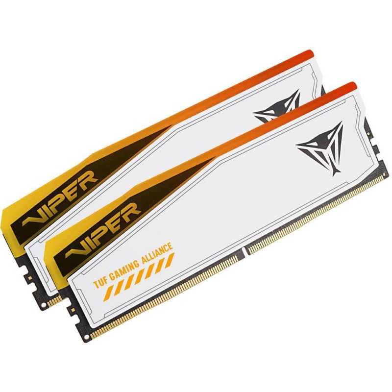 Patriot PVER548G60C36KT