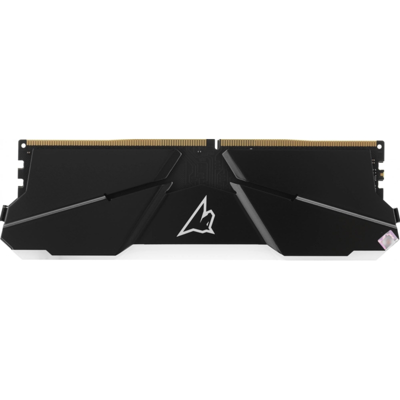 Netac NTSRD4P32SP-16E