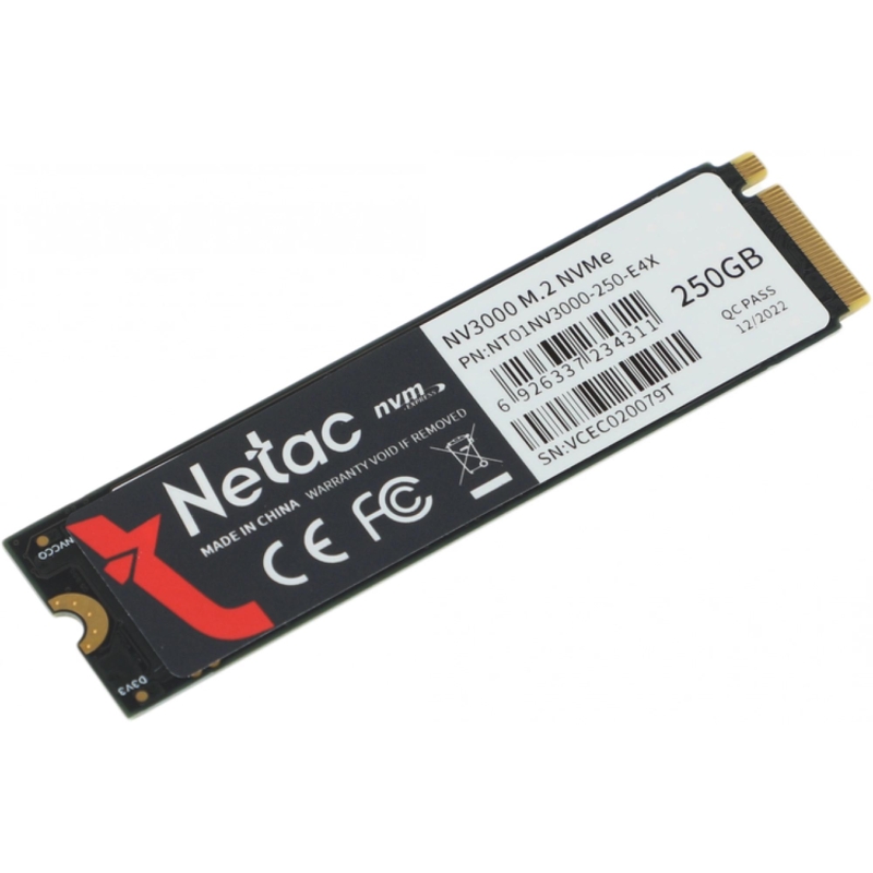 Netac NT01NV3000-250-E4X