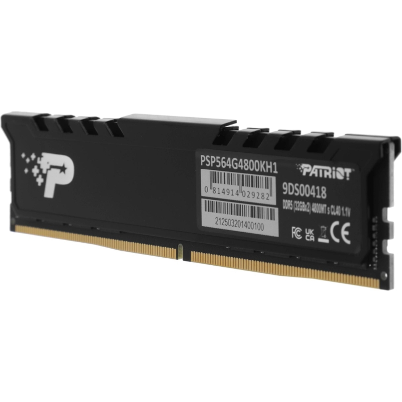 Patriot PSP564G4800KH1