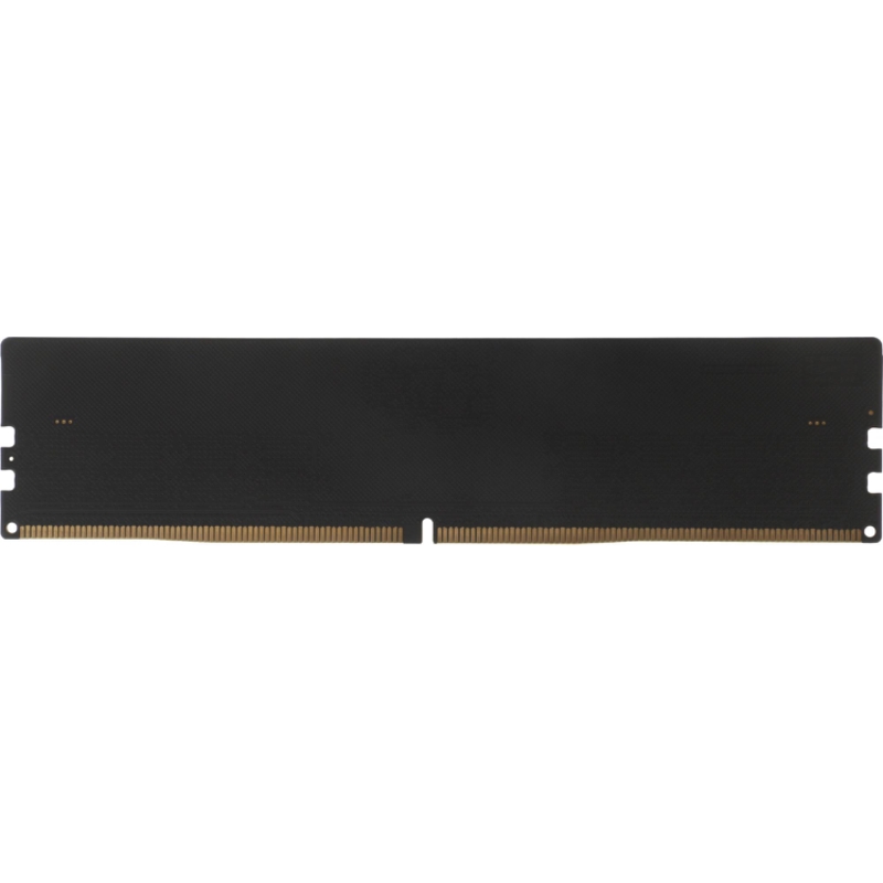 Netac NTBSD5P56SP-16