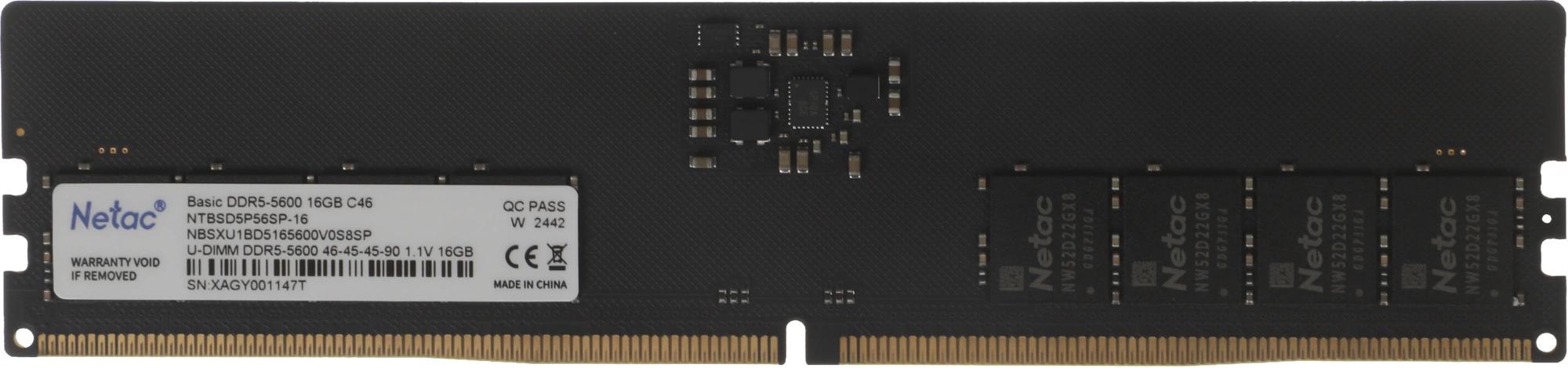Netac NTBSD5P56SP-16
