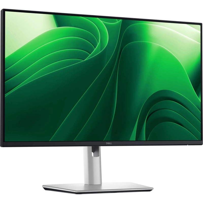 Dell P2425DE