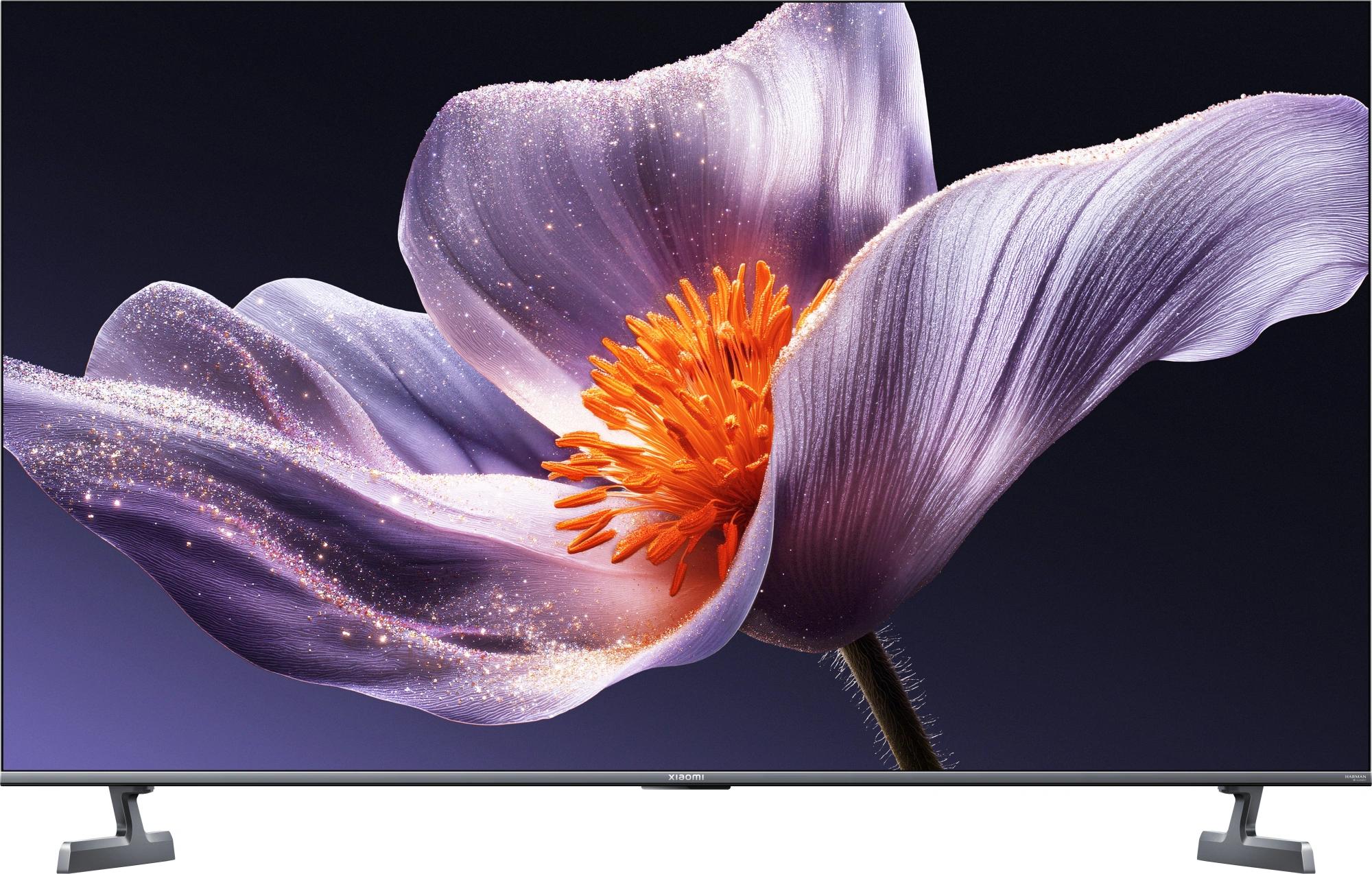 Xiaomi L55MB-SRU
