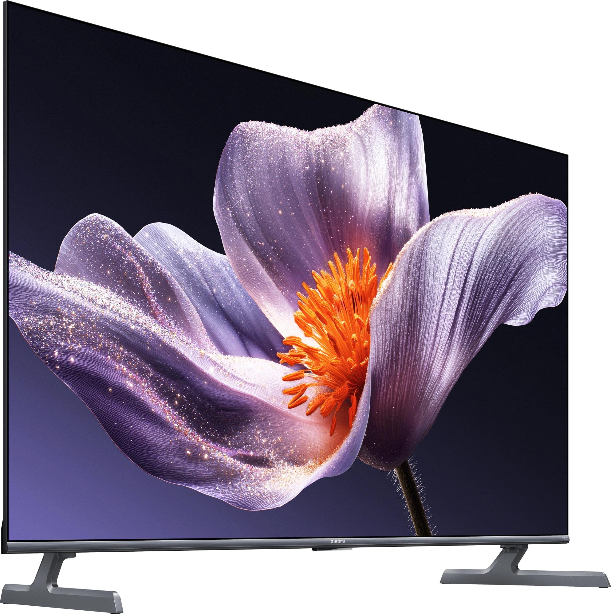 Xiaomi L55MB-SRU