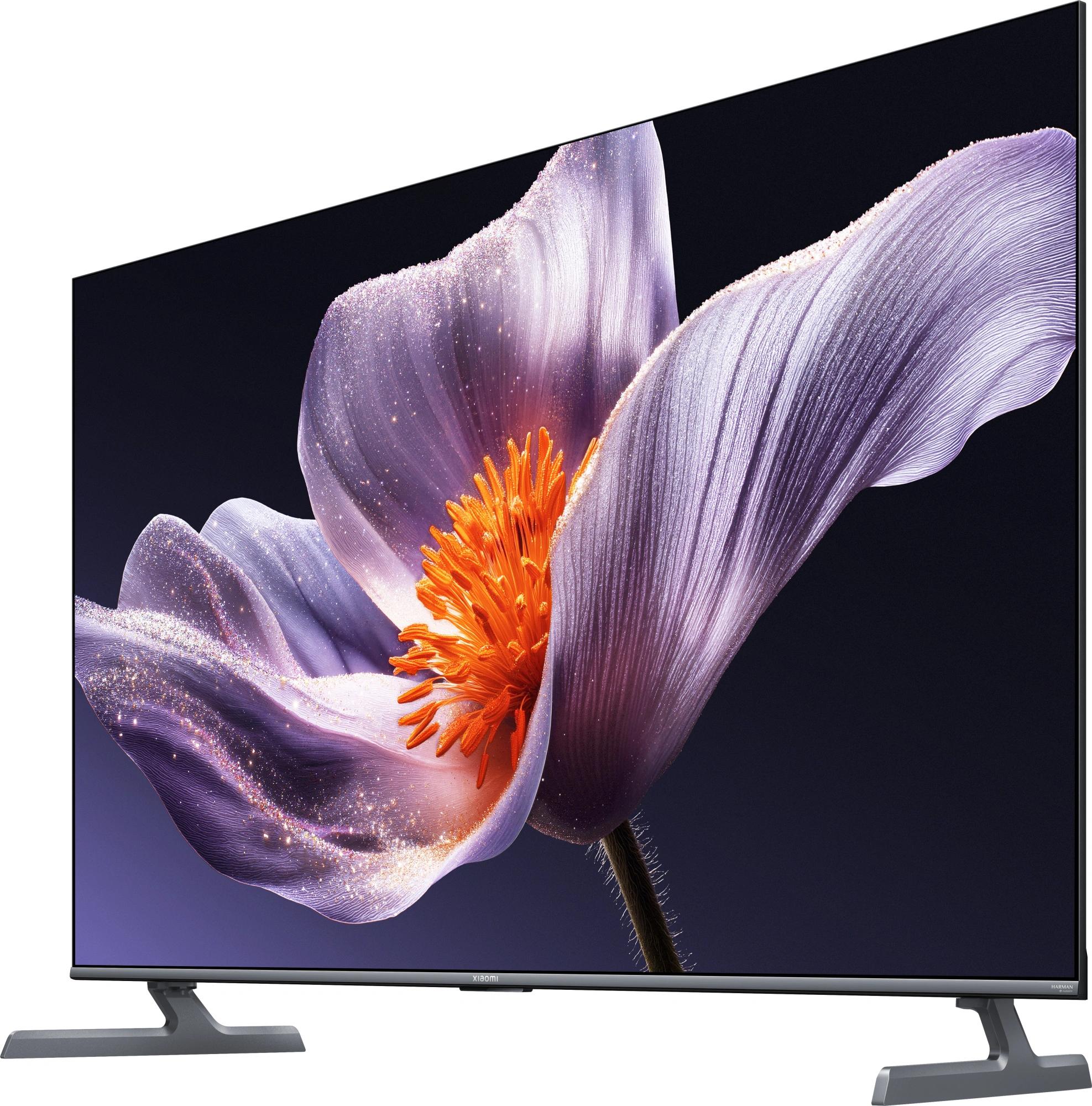 Xiaomi L55MB-SRU