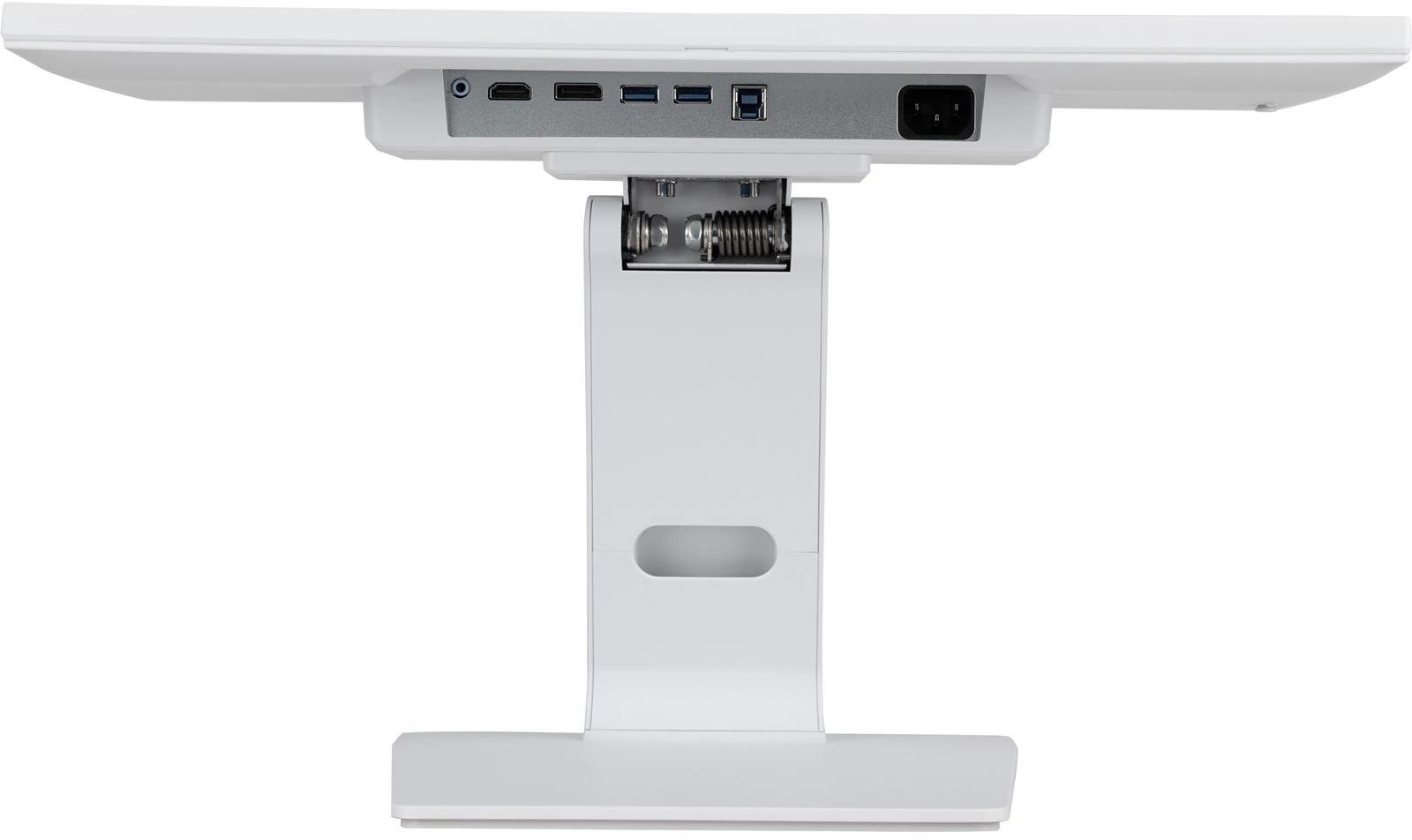 IIYAMA T2252MSC-W2AG