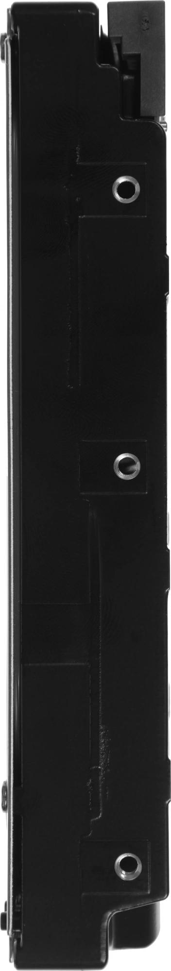 WD WD6005FFBX