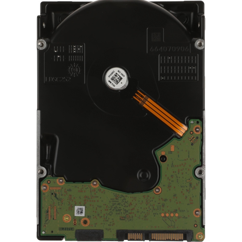 WD WD241KRYZ
